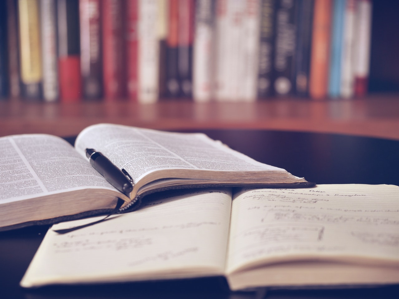 What is Sociology? What does it comprise of?