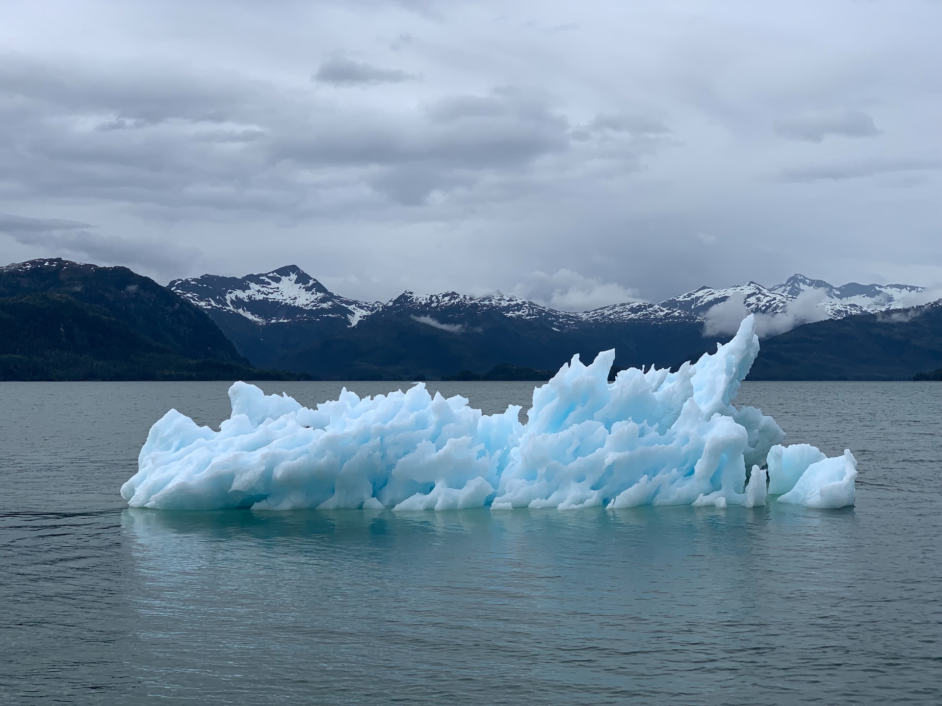 What’s the best and permanent solution for Climate Change?